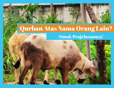 Bolehkah Qurban untuk Orang Lain? Simak Penjelasannya!
