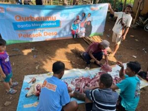 Proses penyembelihan dan distribusi hewan qurban Sinergi Puspita tahun lalu