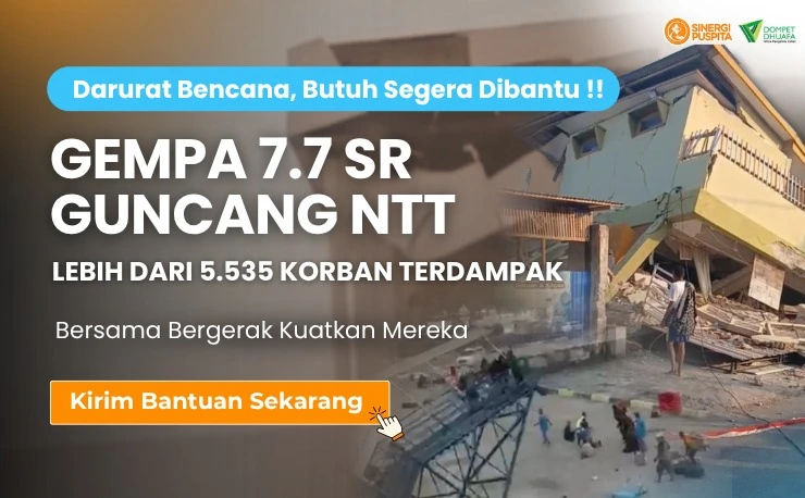 Update Gempa NTT: Korban Capai 87 Jiwa, 6.397 Susulan